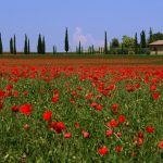 Весна: “Тайное время года” Италии в 5 роскошных виллах