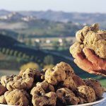 Трюфели в Италии: Белые Альба трюфели и Итальянские черные трюфели