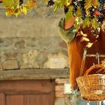 Ароматы Италии: изысканные и утонченные итальянские вина